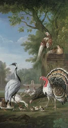 Groep Exotische Vogels